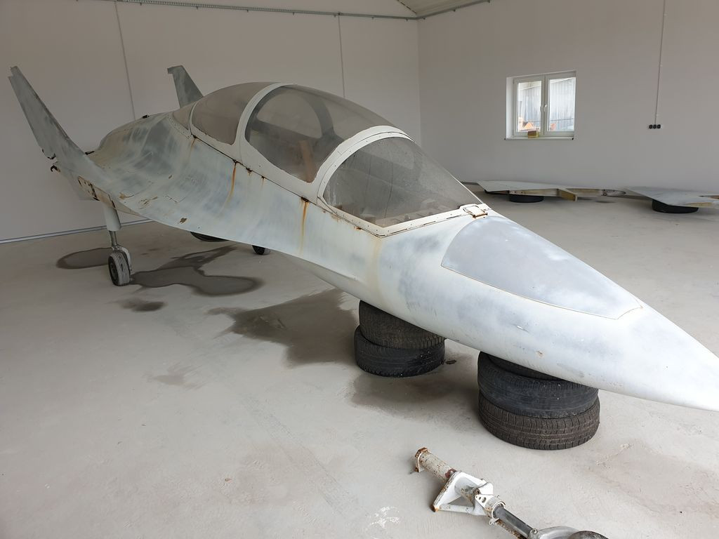 Makieta EM-10 Bielik