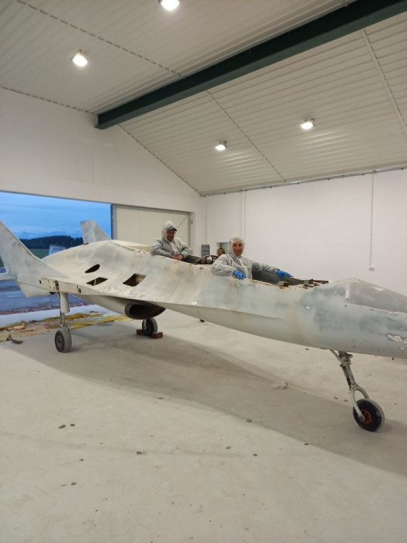 Makieta EM-10 Bielik