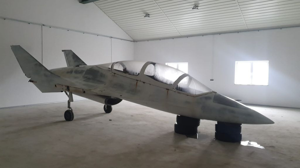 Makieta EM-10 Bielik