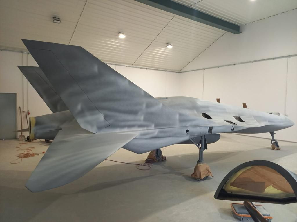 Makieta EM-10 Bielik
