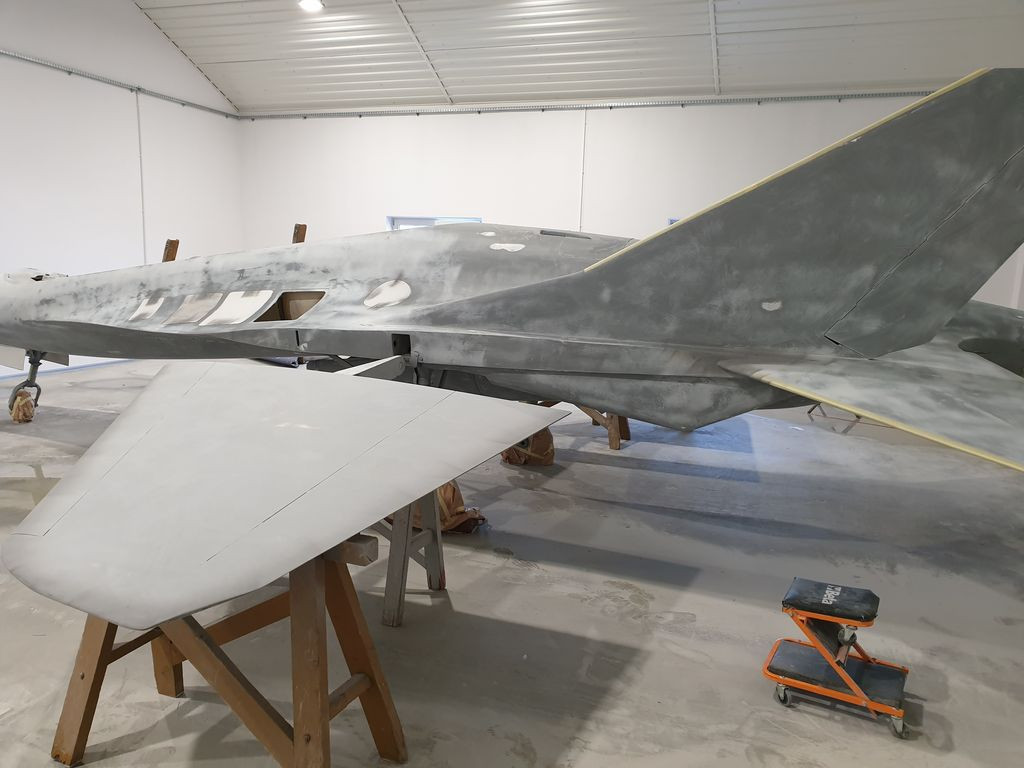 Makieta EM-10 Bielik