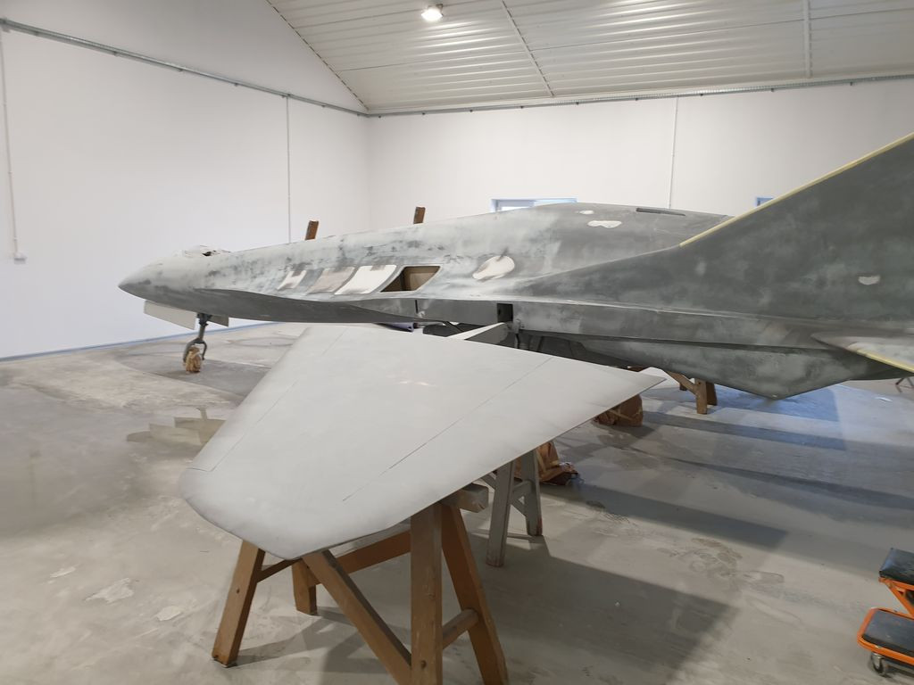 Makieta EM-10 Bielik