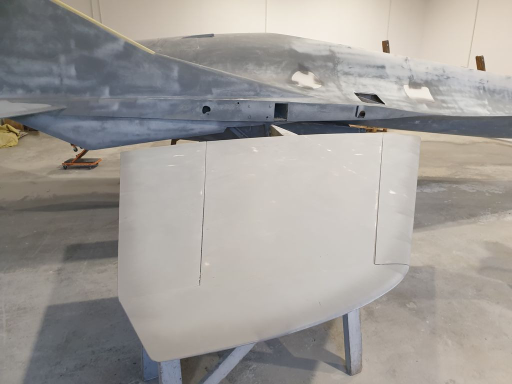 Makieta EM-10 Bielik