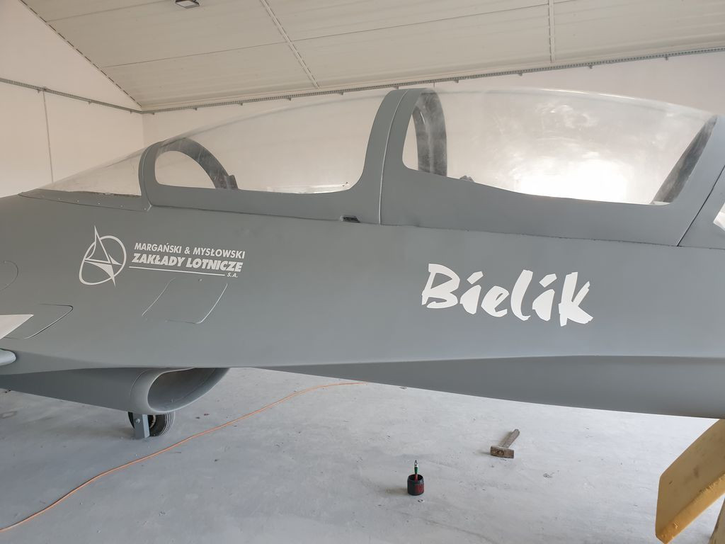 Makieta EM-10 Bielik