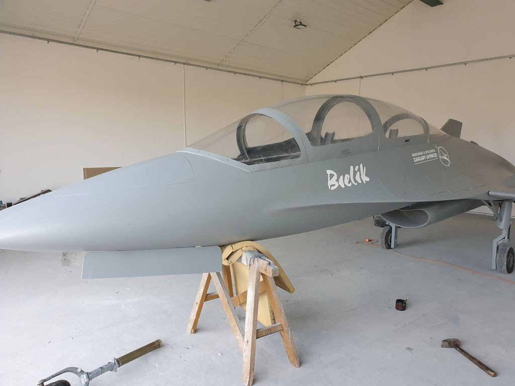 Makieta EM-10 Bielik