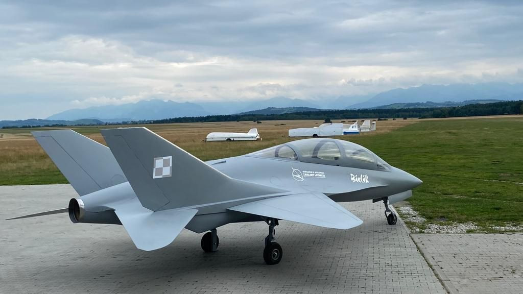 Makieta EM-10 Bielik