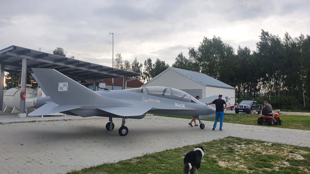 Makieta EM-10 Bielik
