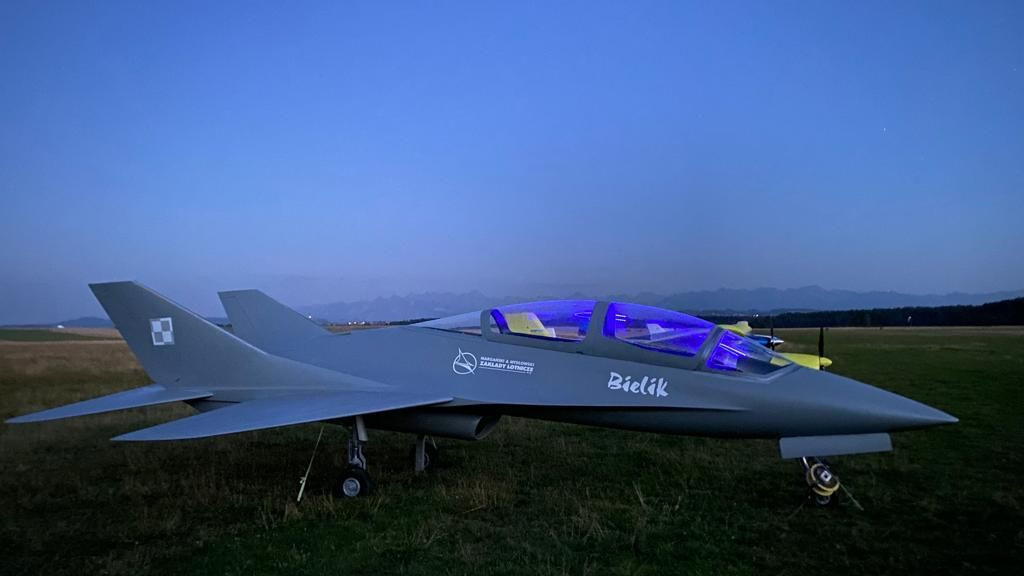 Makieta EM-10 Bielik