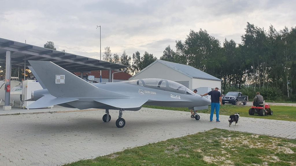 Makieta EM-10 Bielik