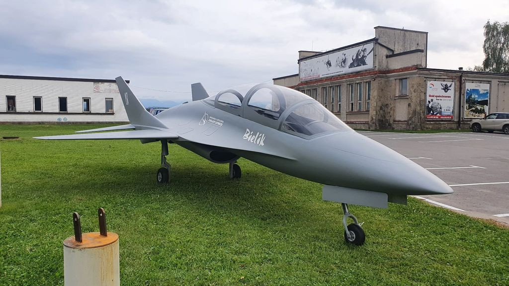 Makieta EM-10 Bielik