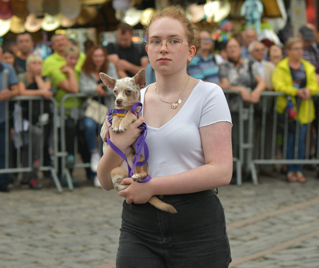 Barwny korowód festiwalowy