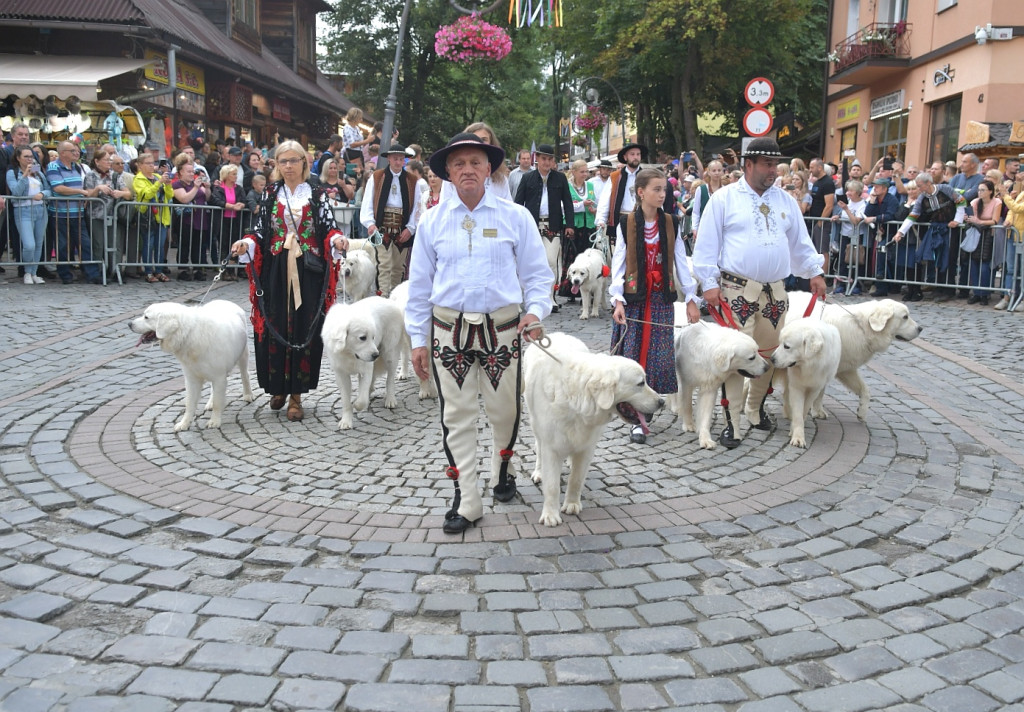 Barwny korowód festiwalowy