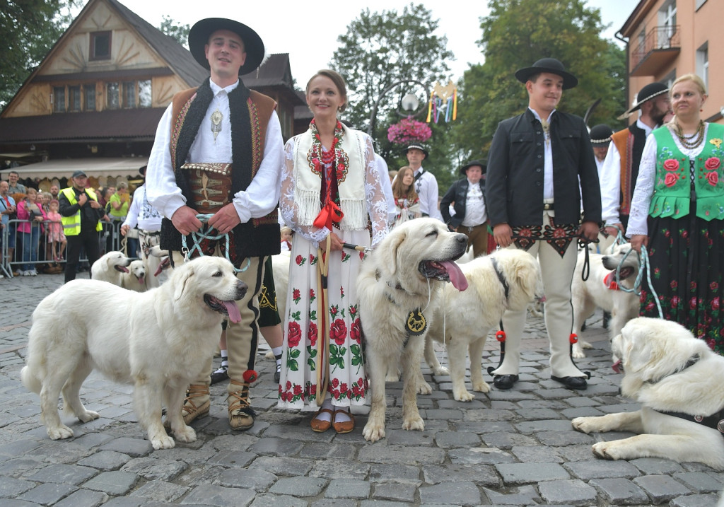 Barwny korowód festiwalowy