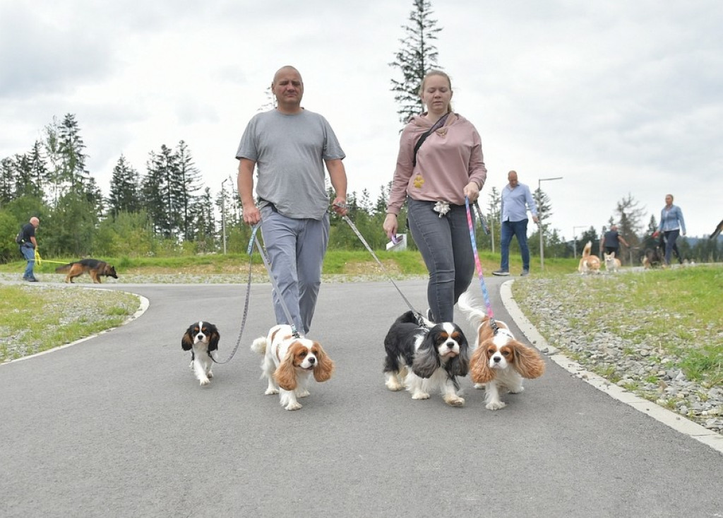Międzynarodowa Wystawa Psów Rasowych Zakopane 2022
