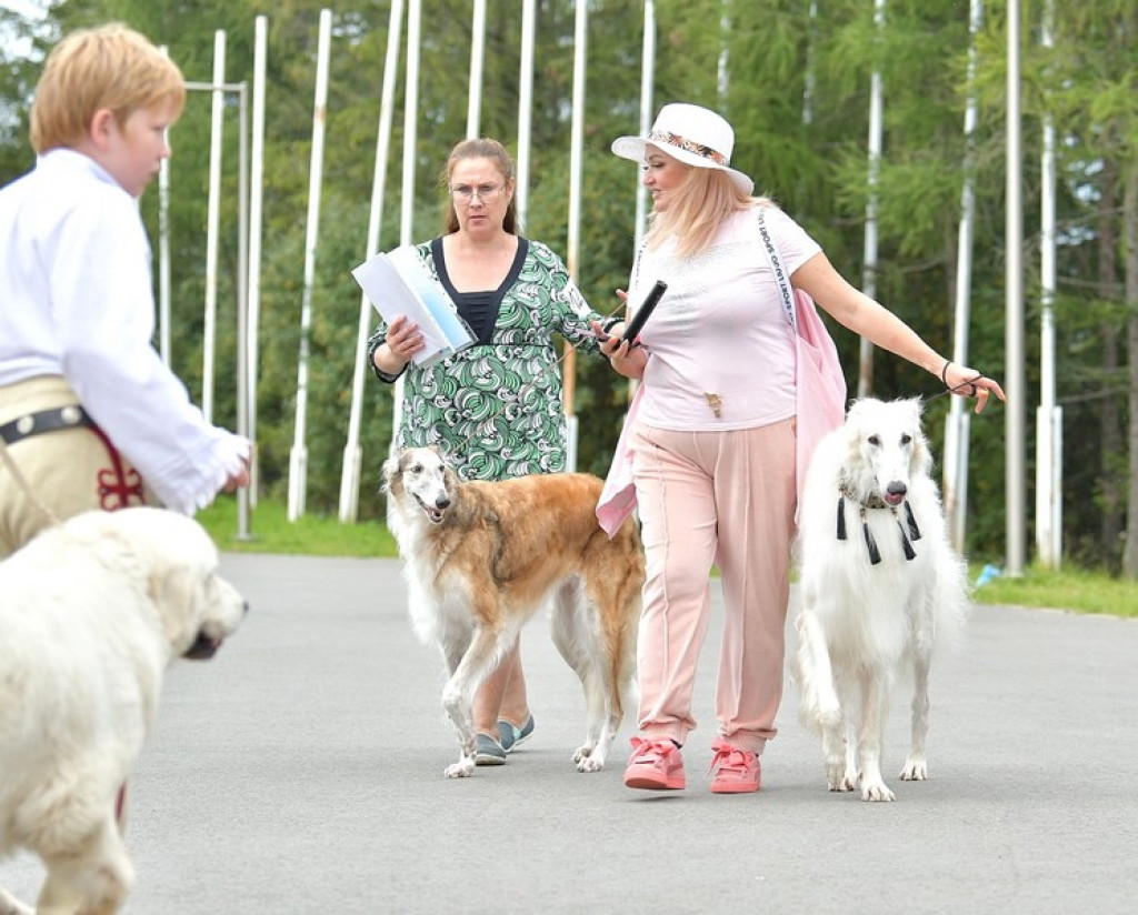 Międzynarodowa Wystawa Psów Rasowych Zakopane 2022