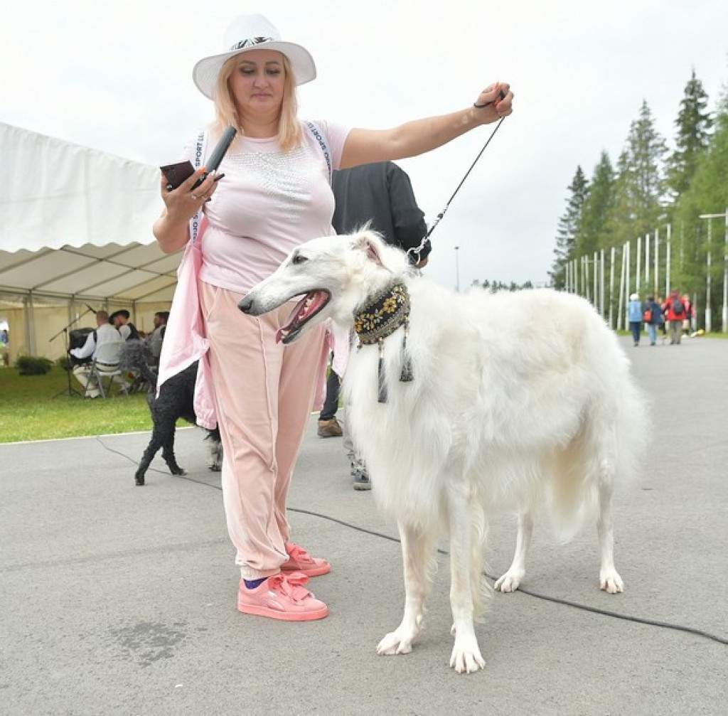 Międzynarodowa Wystawa Psów Rasowych Zakopane 2022