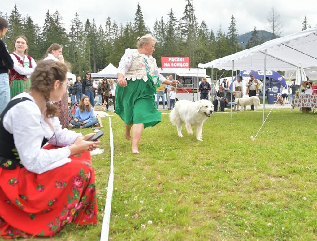 Międzynarodowa Wystawa Psów Rasowych Zakopane 2022