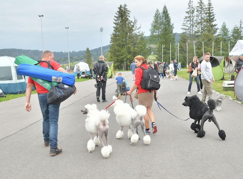 Międzynarodowa Wystawa Psów Rasowych Zakopane 2022