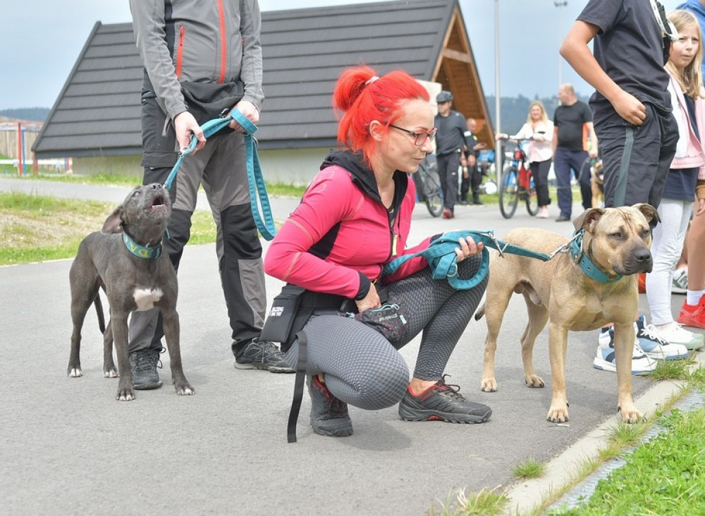 Międzynarodowa Wystawa Psów Rasowych Zakopane 2022