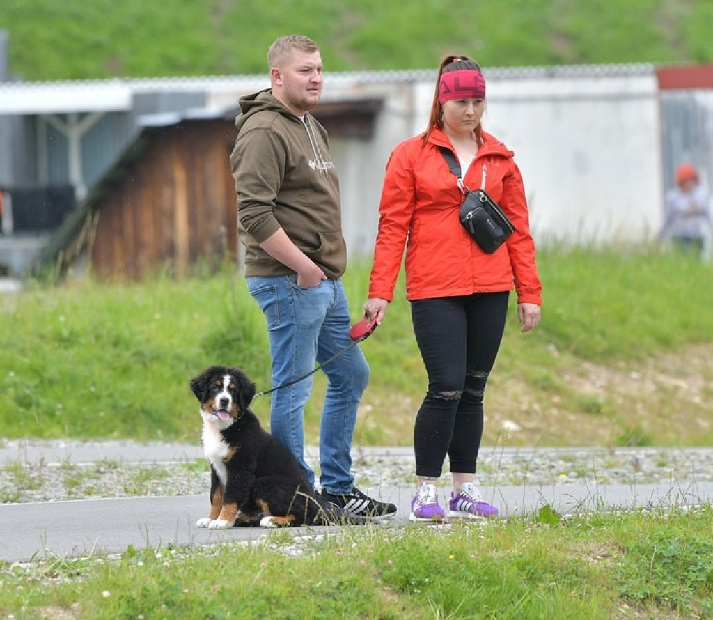 Międzynarodowa Wystawa Psów Rasowych Zakopane 2022
