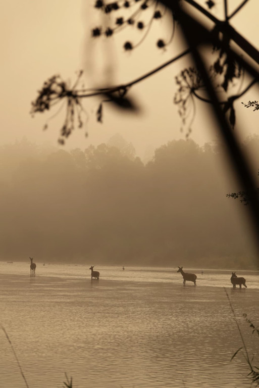 Daniel Urbaniak zagląda nad Dunajec