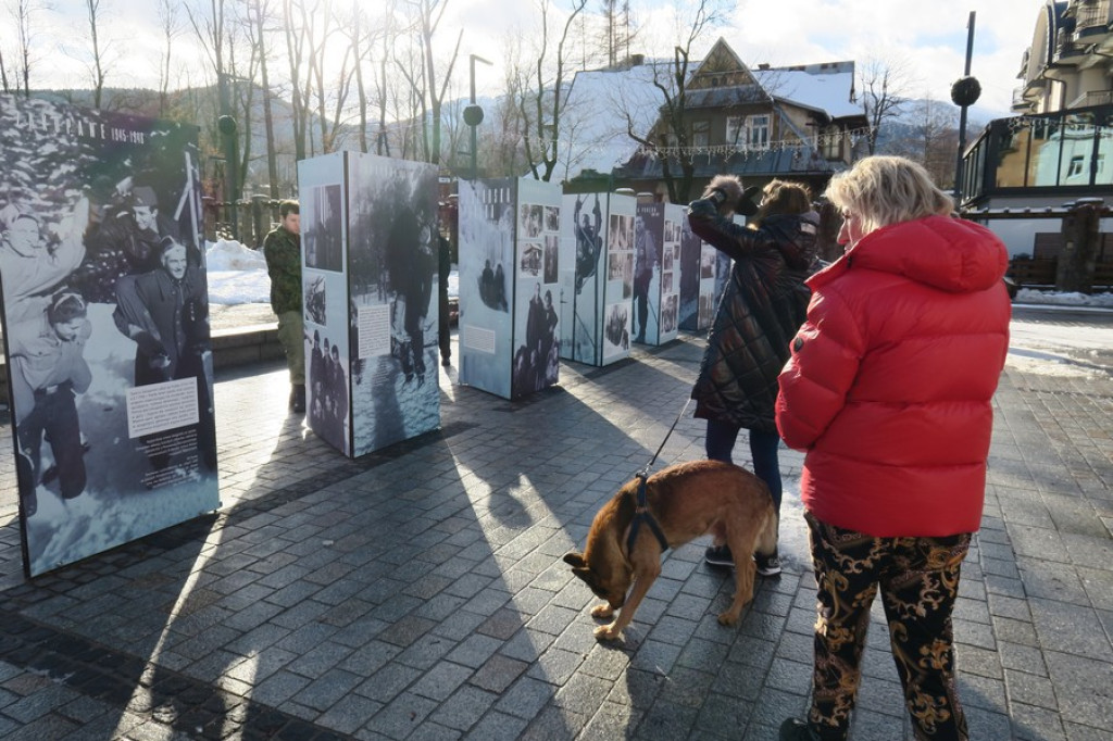 Harcerze, bohaterowie i sportowcy
