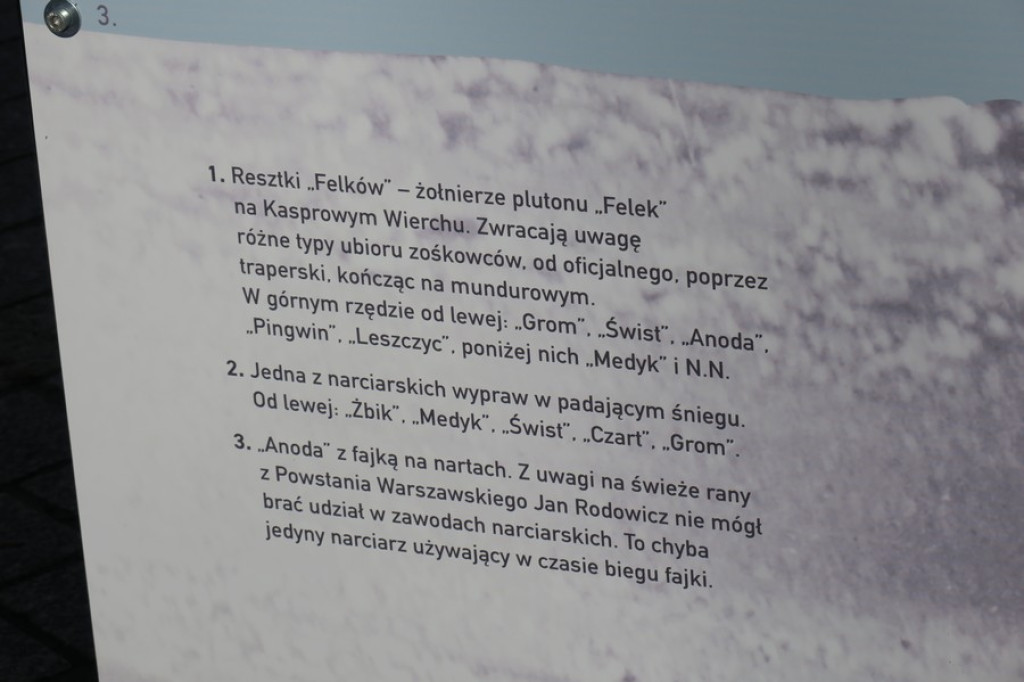 Harcerze, bohaterowie i sportowcy