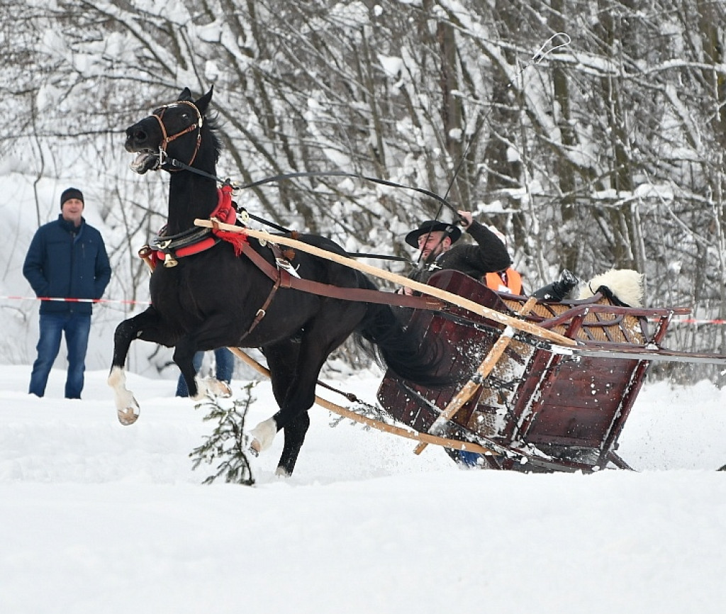 Góralska Gońba w Białym Dunajcu