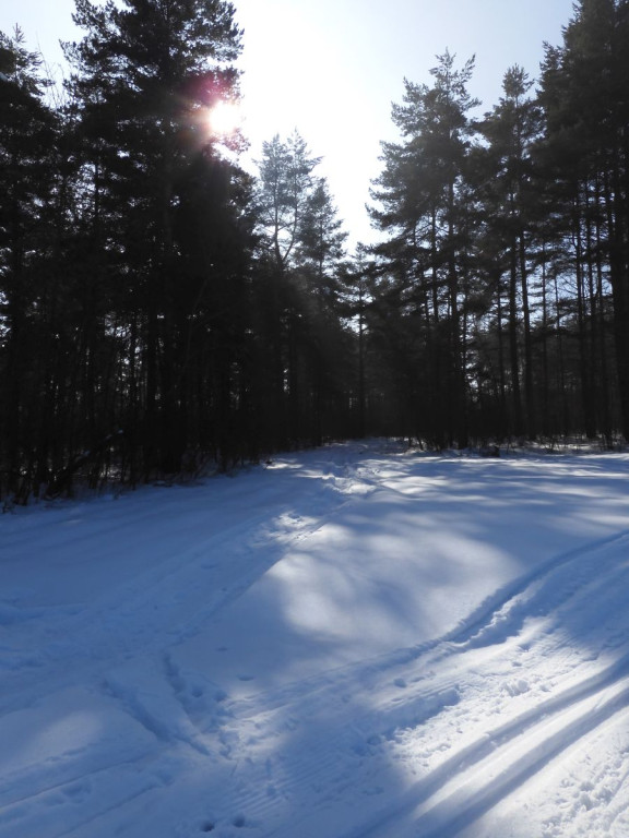 Na biegówkach dookoła nowotarskiego lotniska