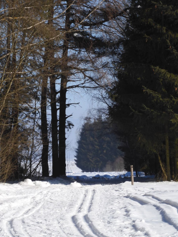Na biegówkach dookoła nowotarskiego lotniska