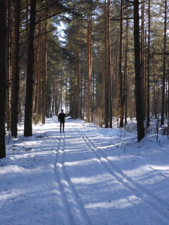 Na biegówkach dookoła nowotarskiego lotniska