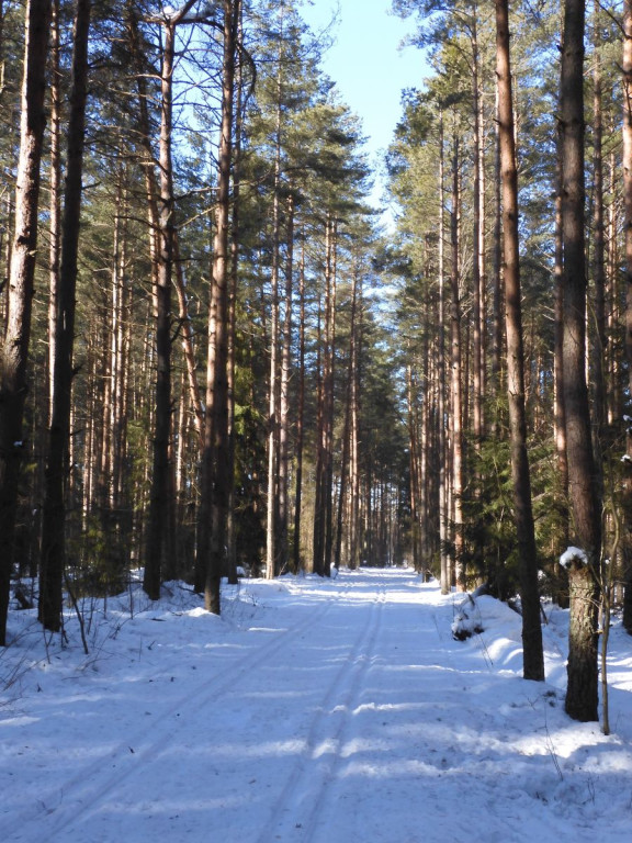 Na biegówkach dookoła nowotarskiego lotniska