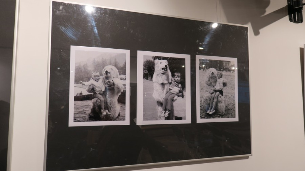 Foto z misiem w Kościelisku