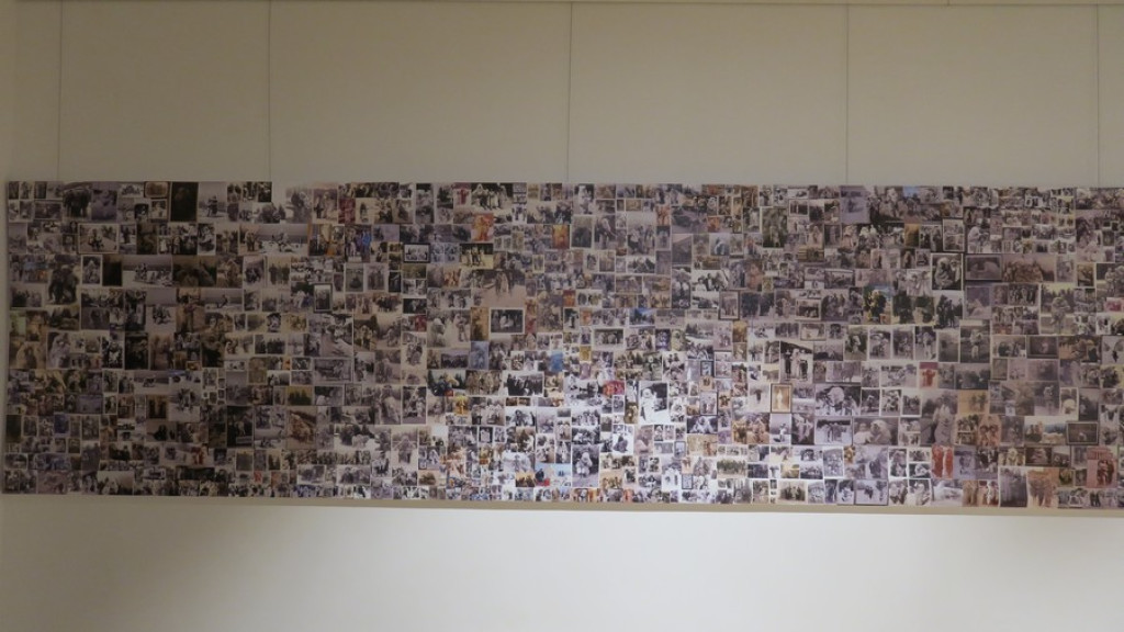 Foto z misiem w Kościelisku