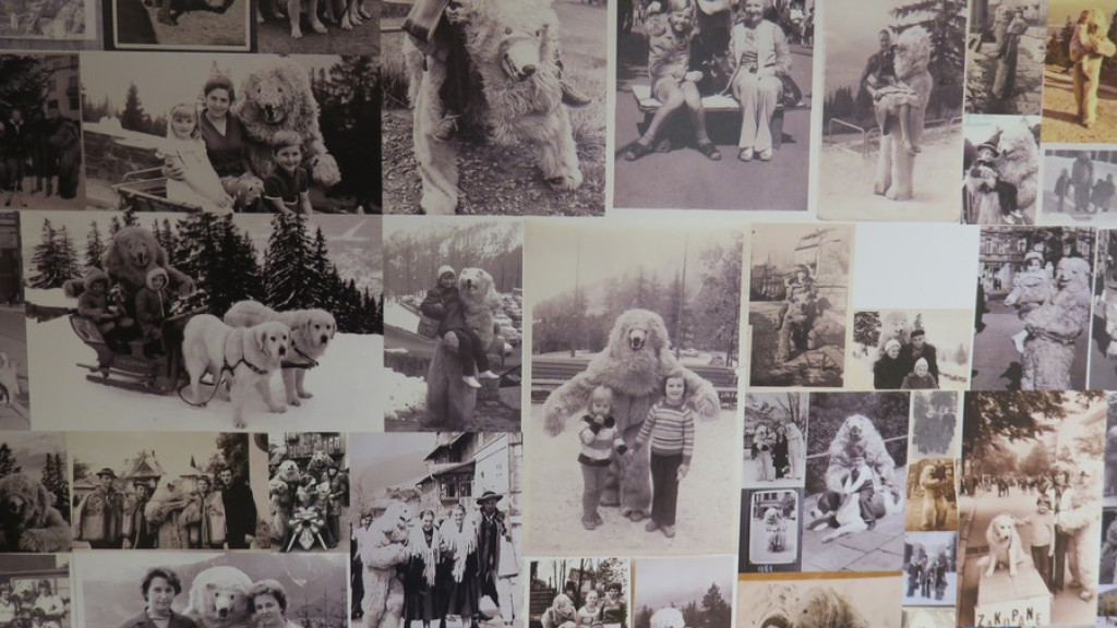 Foto z misiem w Kościelisku