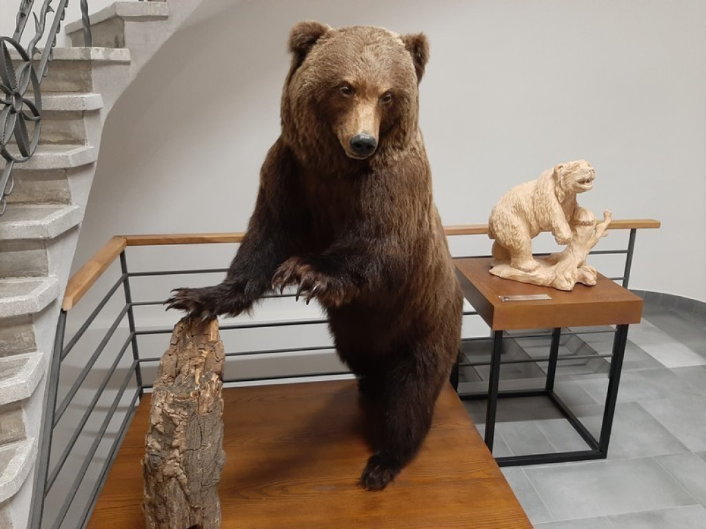 Muzeum Tatrzańskie, zaglądamy do gmachu głównego