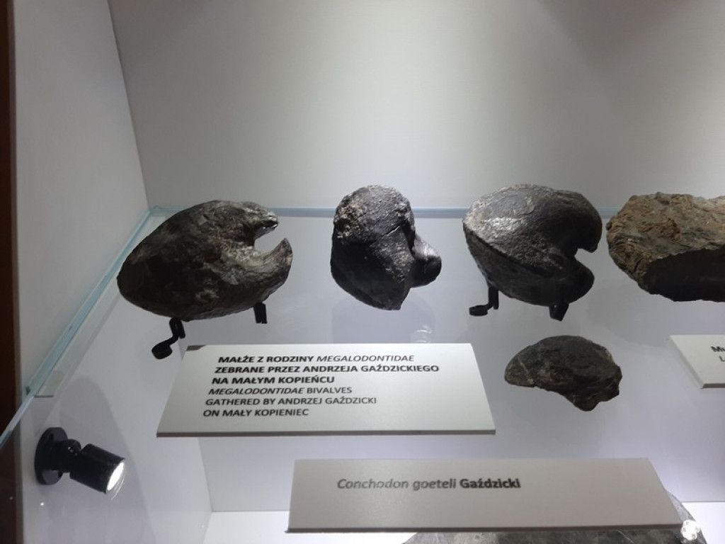 Muzeum Tatrzańskie, zaglądamy do gmachu głównego