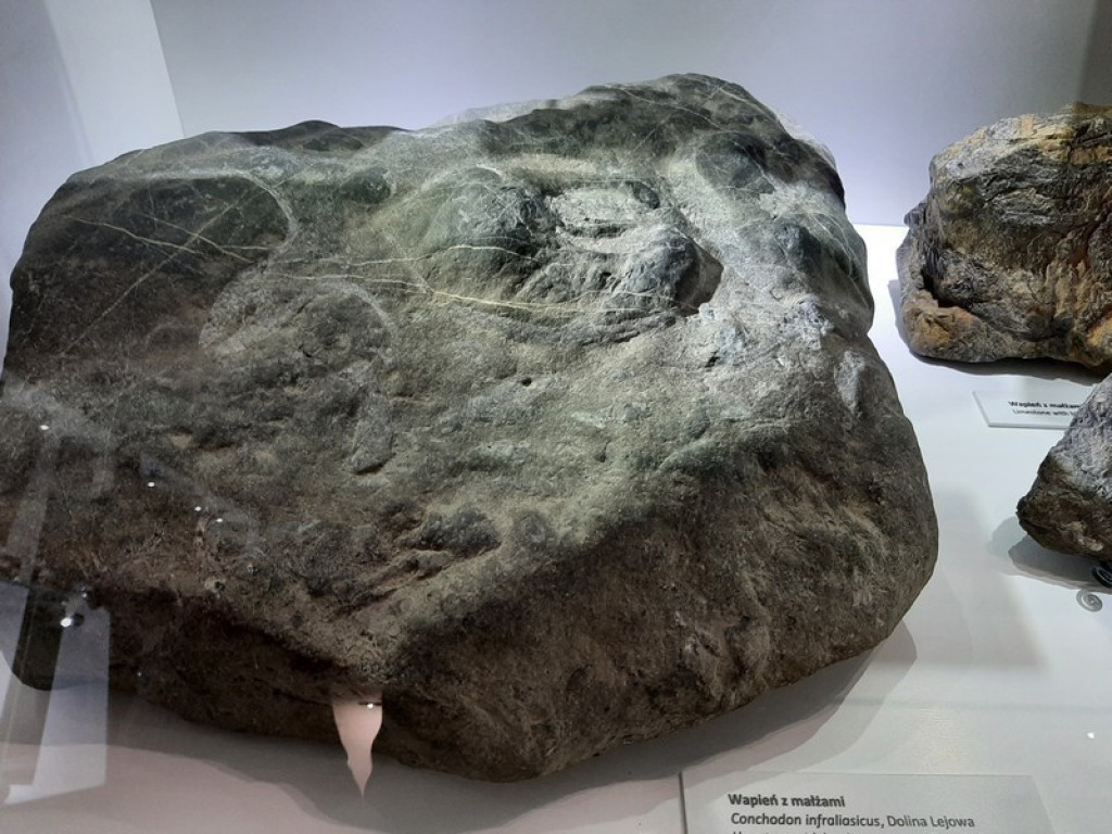 Muzeum Tatrzańskie, zaglądamy do gmachu głównego
