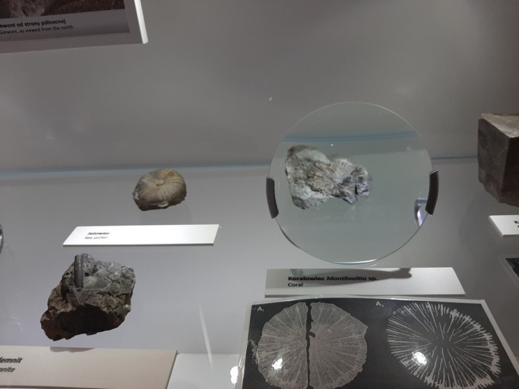 Muzeum Tatrzańskie, zaglądamy do gmachu głównego