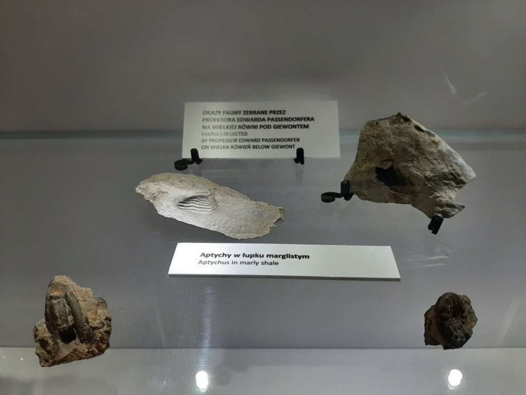 Muzeum Tatrzańskie, zaglądamy do gmachu głównego