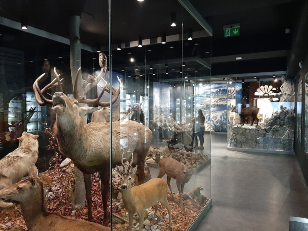 Muzeum Tatrzańskie, zaglądamy do gmachu głównego