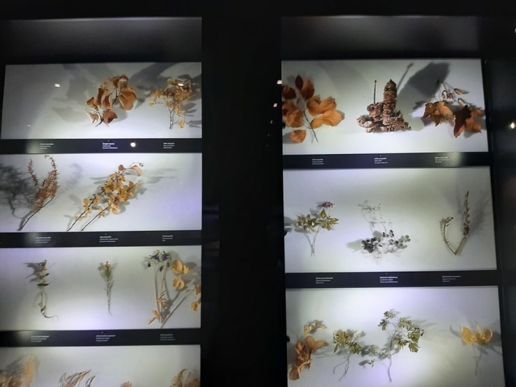 Muzeum Tatrzańskie, zaglądamy do gmachu głównego