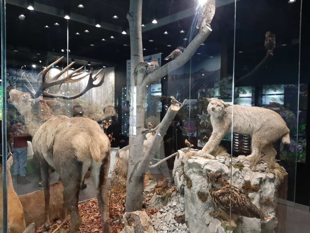 Muzeum Tatrzańskie, zaglądamy do gmachu głównego