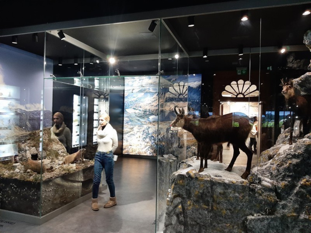 Muzeum Tatrzańskie, zaglądamy do gmachu głównego