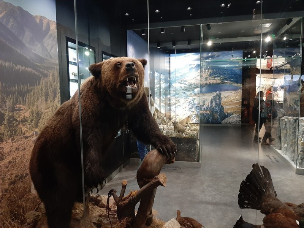 Muzeum Tatrzańskie, zaglądamy do gmachu głównego