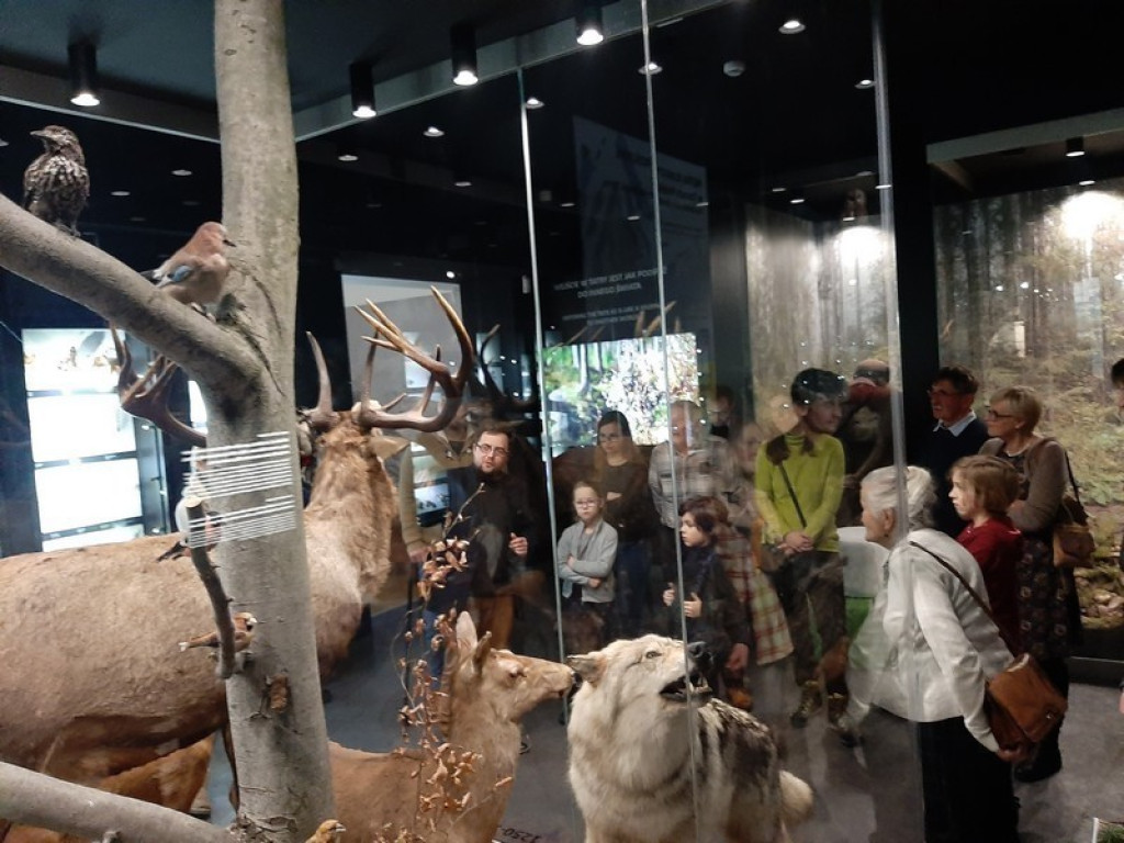 Muzeum Tatrzańskie, zaglądamy do gmachu głównego