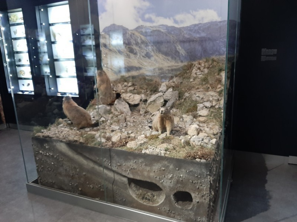 Muzeum Tatrzańskie, zaglądamy do gmachu głównego