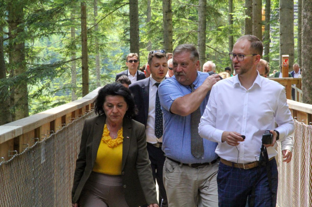 Brama w Gorce już oficjalnie otwarta. Zapraszamy na spacer w koronach drzew!