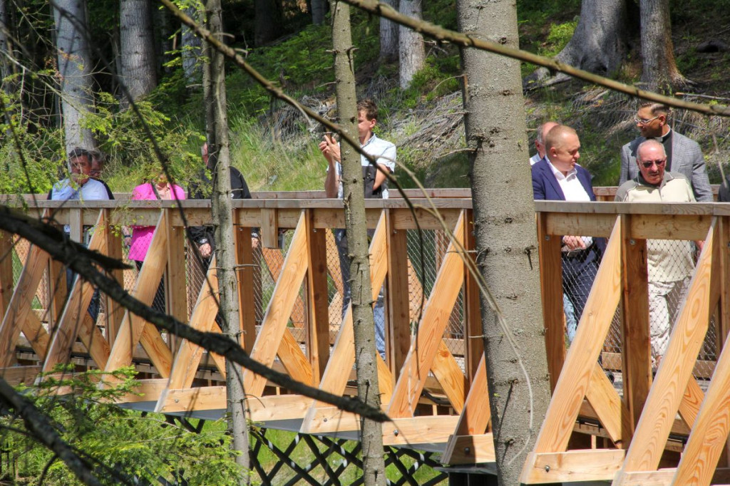 Brama w Gorce już oficjalnie otwarta. Zapraszamy na spacer w koronach drzew!