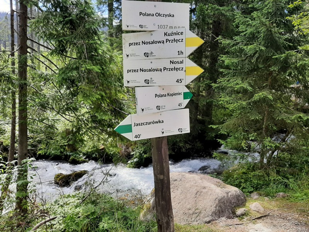 Pasterskie spotkanie na Polanie Olczyskiej
